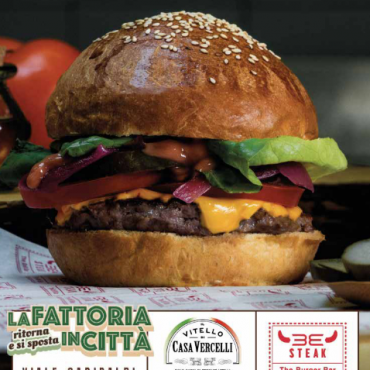 La fattoria in città - Locandina
